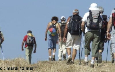 Récap photos : Randonnée et marche  à Lautrec – mardi 13 mai 2025.
