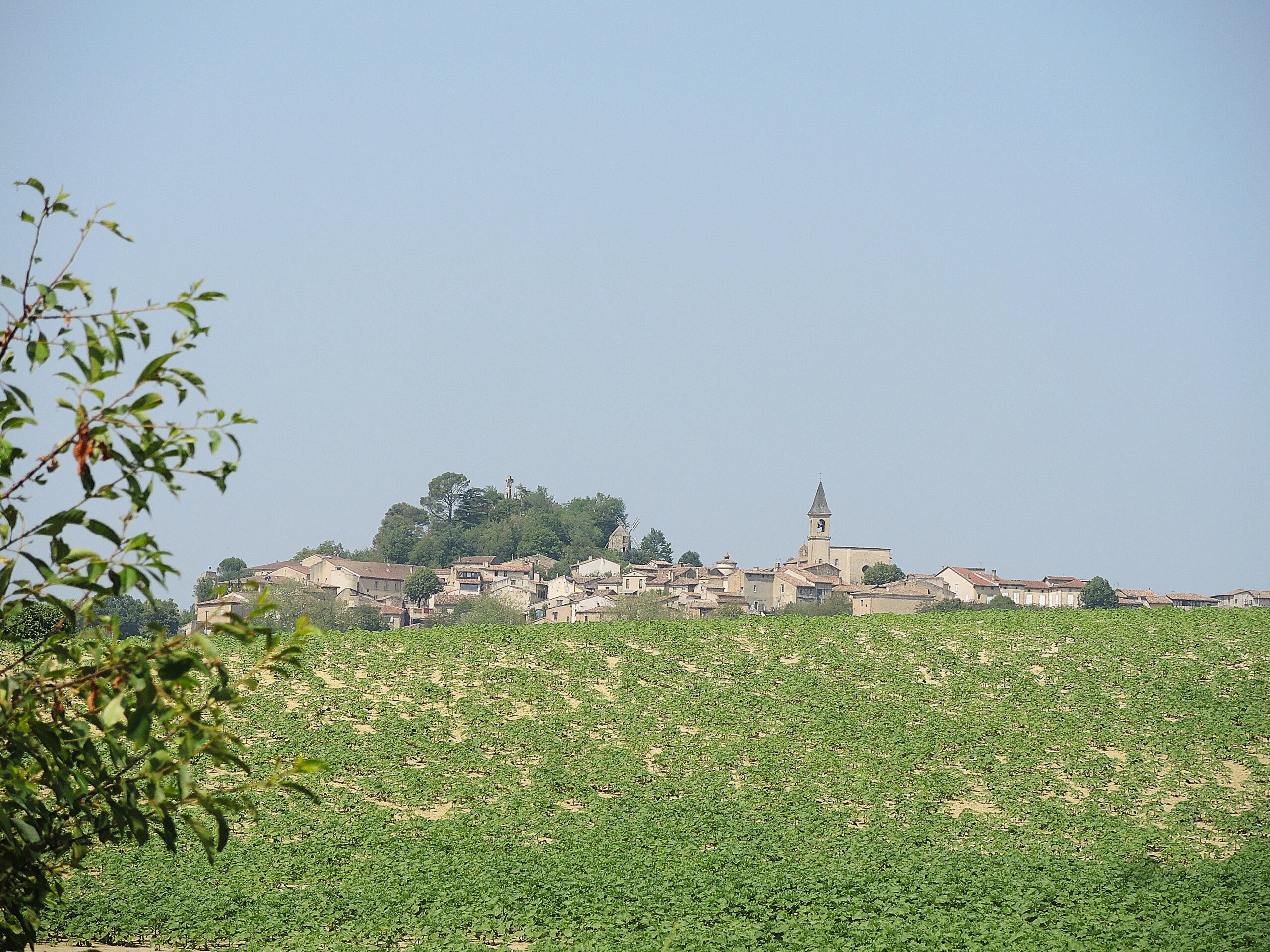 DSCN1218