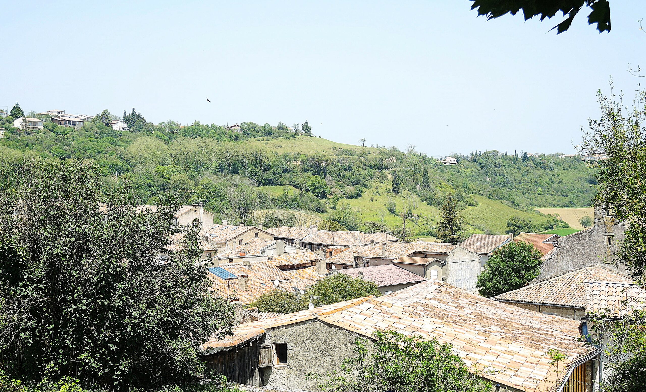 DSCN1231