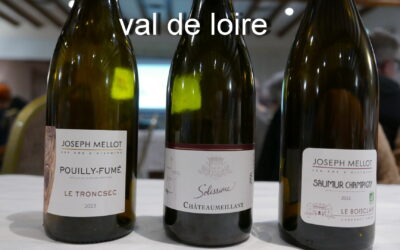 Diaporama oenologie sur les vins : Val de LOIRE- jeudi 25 septembre