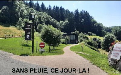 Retour photos : Jeudi 6 novembre – Musée du Protestantisme