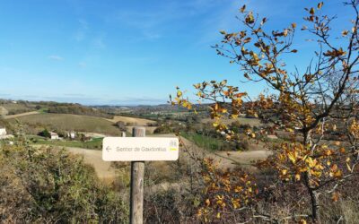Retour photos : Marche à Saint-Gauzens  – Mardi 18 novembre