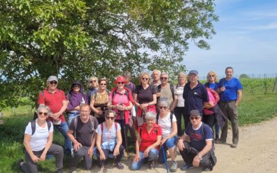 Diaporama : Mardi 28 avril – Dans les pas d&rsquo;Amédée le vigneron : Randonnée de 7 kilomètres  en plein cœur du Gaillacois