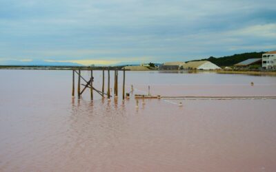 Diaporama : Journée à Gruissan : la perle du littoral – Jeudi 4 juin