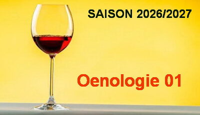 Jeudi 01 Octobre : Saison 2026/2027 – Oenologie 01